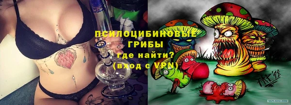 а пвп мука Алзамай