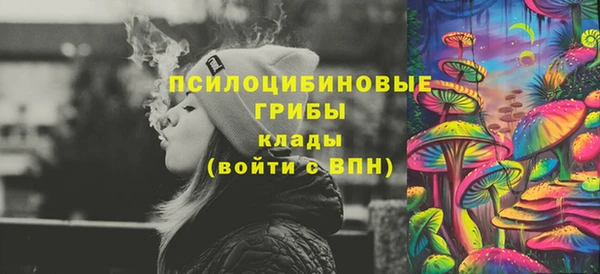 spice Алексин