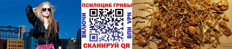 Псилоцибиновые грибы MAGIC MUSHROOMS  Лысьва 
