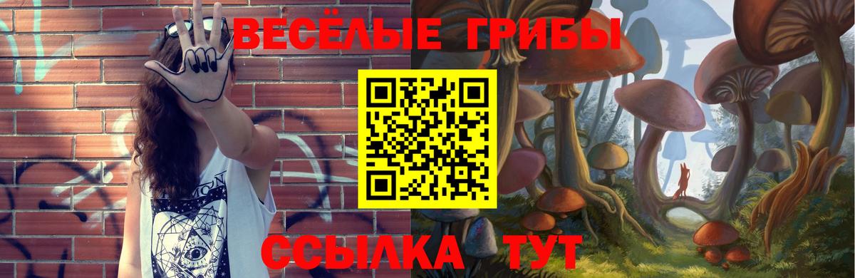 Псилоцибиновые грибы Psilocybe  Вход с VPN  Лысьва  Псилоцибиновые грибы Cubensis 